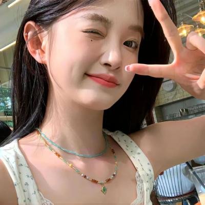 金刚斗恐龙
